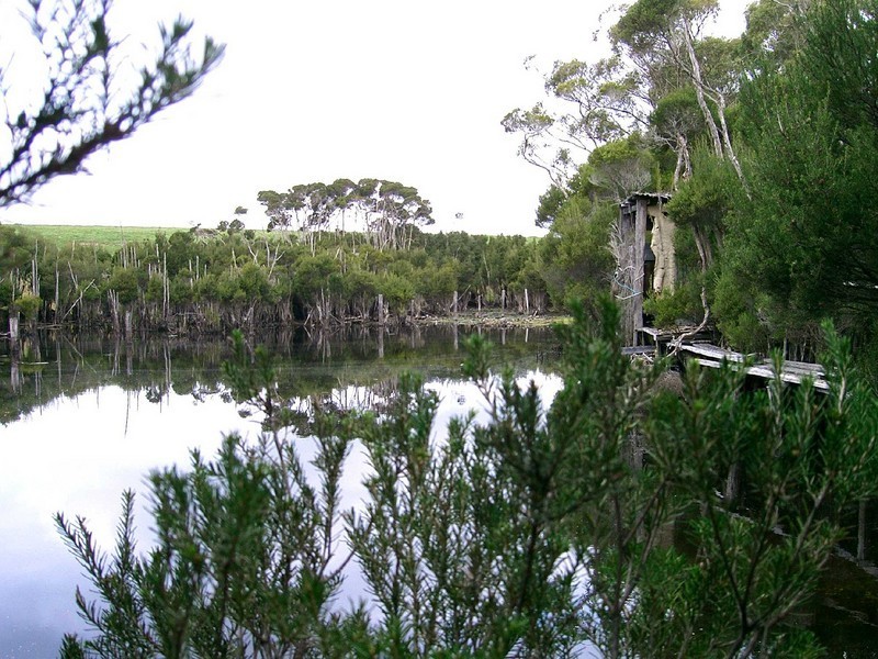 Lot 1 Canhams Road, St Helens TAS 7216