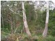 Lot 1 Canhams Road, St Helens TAS 7216