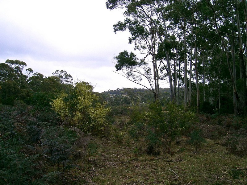Lot 1 Canhams Road, St Helens TAS 7216