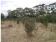 Lot 1 Canhams Road, St Helens TAS 7216