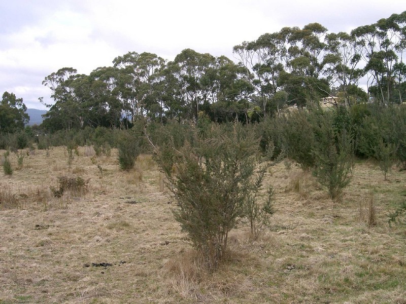 Lot 1 Canhams Road, St Helens TAS 7216