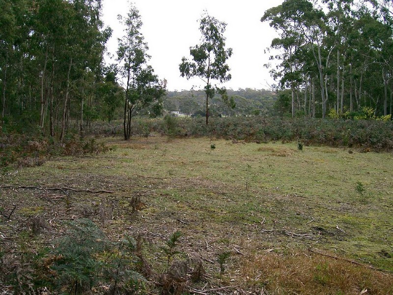 Lot 1 Canhams Road, St Helens TAS 7216