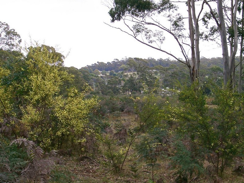 Lot 1 Canhams Road, St Helens TAS 7216