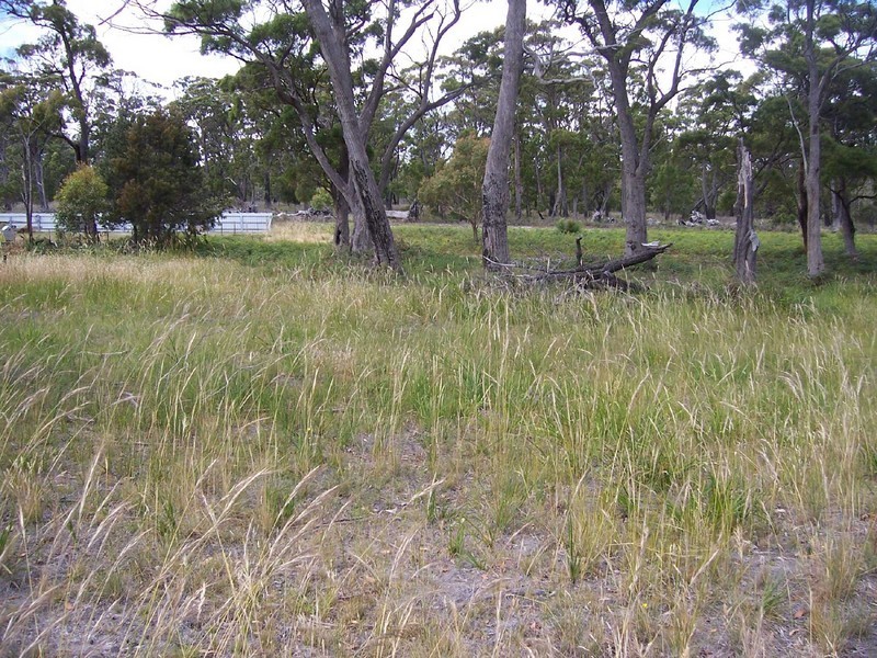 37 Coffey Court, Binalong Bay TAS 7216