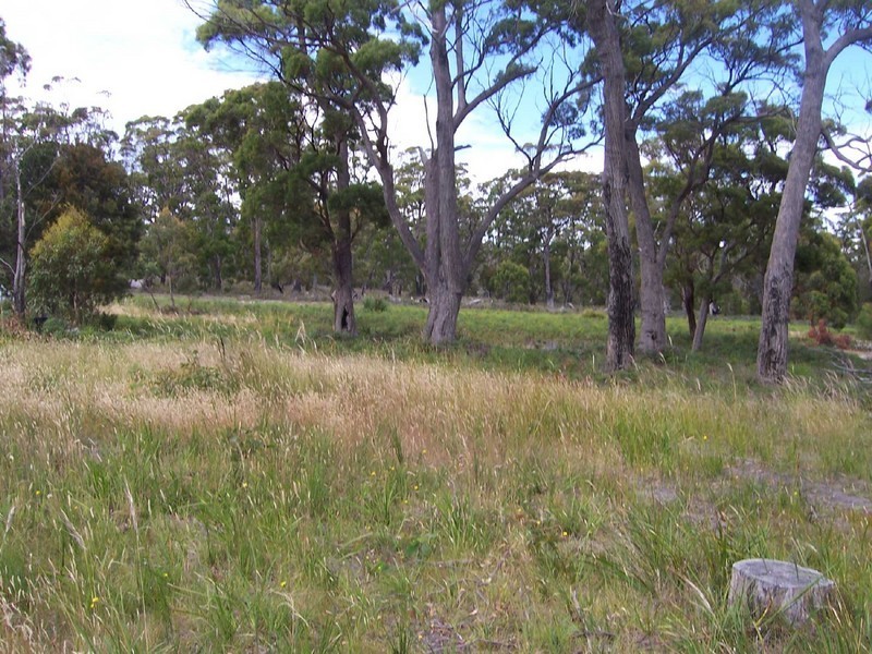 37 Coffey Court, Binalong Bay TAS 7216