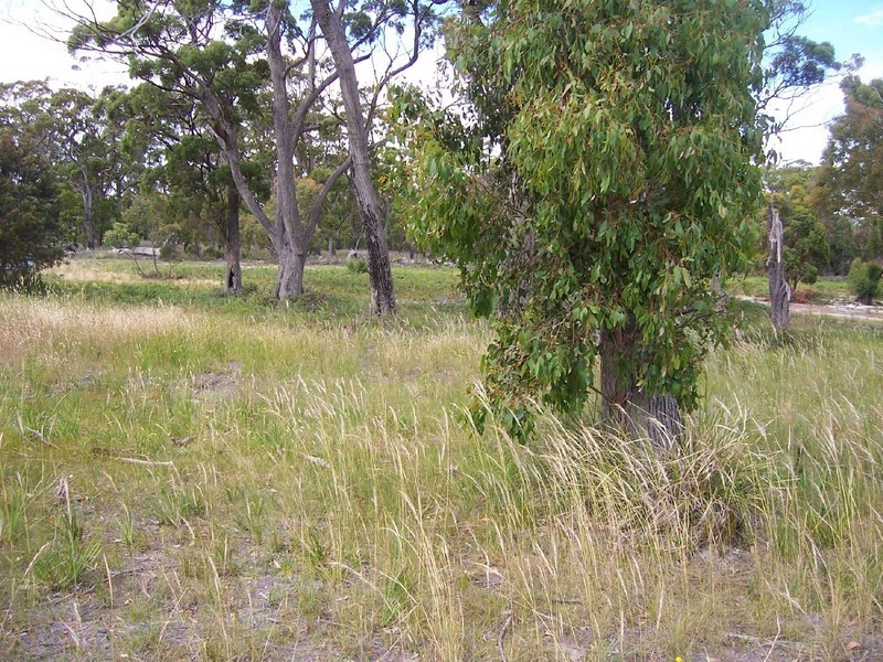 37 Coffey Court, Binalong Bay TAS 7216