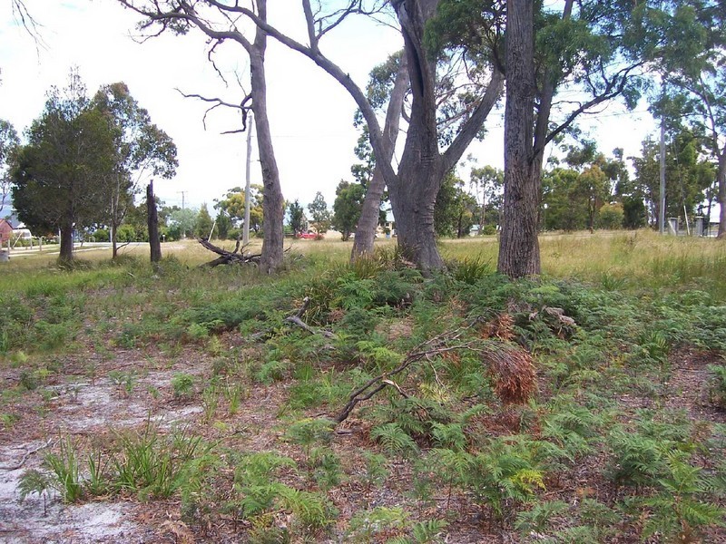 37 Coffey Court, Binalong Bay TAS 7216