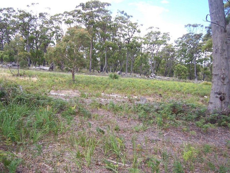 37 Coffey Court, Binalong Bay TAS 7216