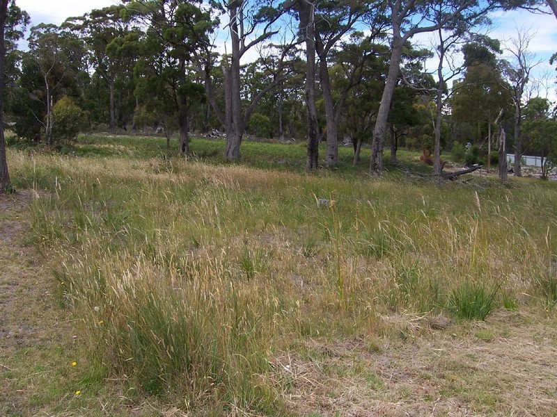 37 Coffey Court, Binalong Bay TAS 7216