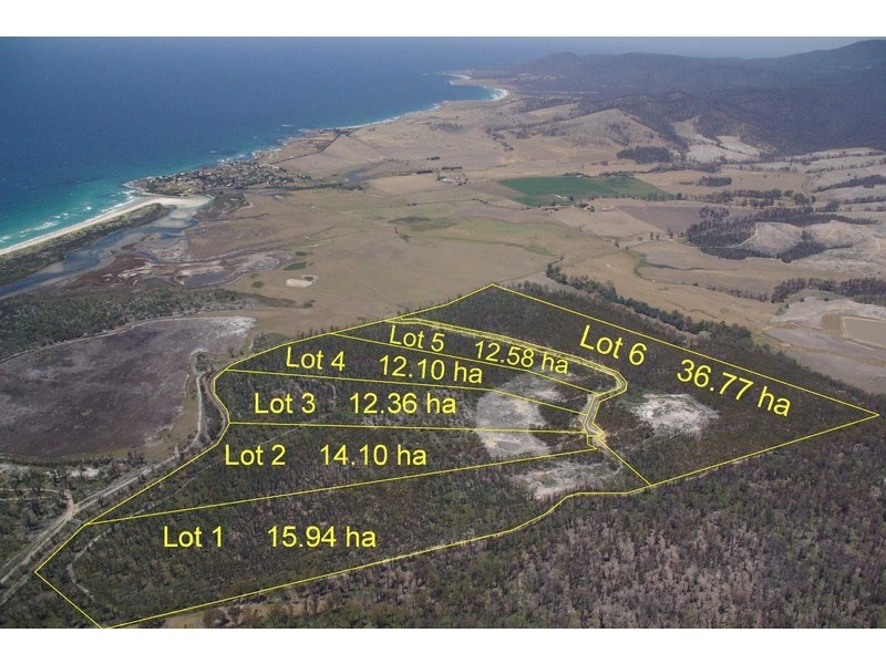 McManus Drive, Scamander TAS 7215