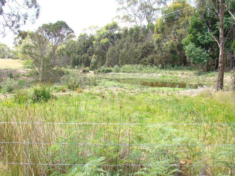 190 Medea Cove Road, St Helens TAS 7216