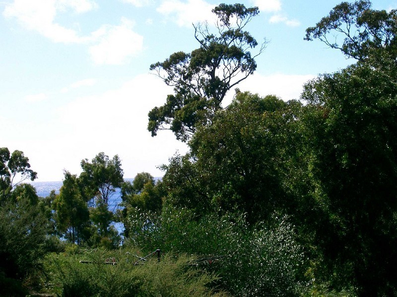 56 Treloggen Drive, Binalong Bay TAS 7216
