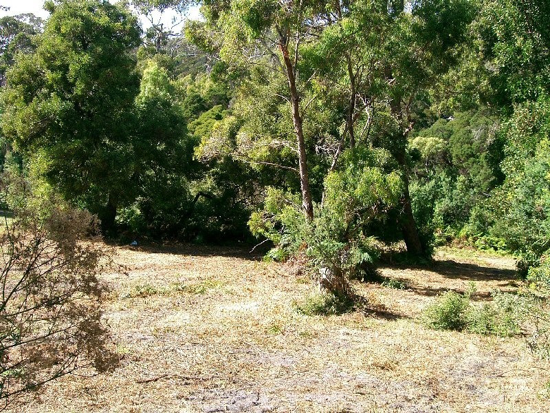 56 Treloggen Drive, Binalong Bay TAS 7216