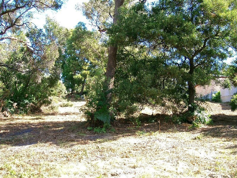 56 Treloggen Drive, Binalong Bay TAS 7216