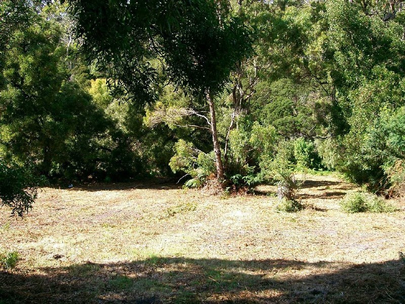 56 Treloggen Drive, Binalong Bay TAS 7216