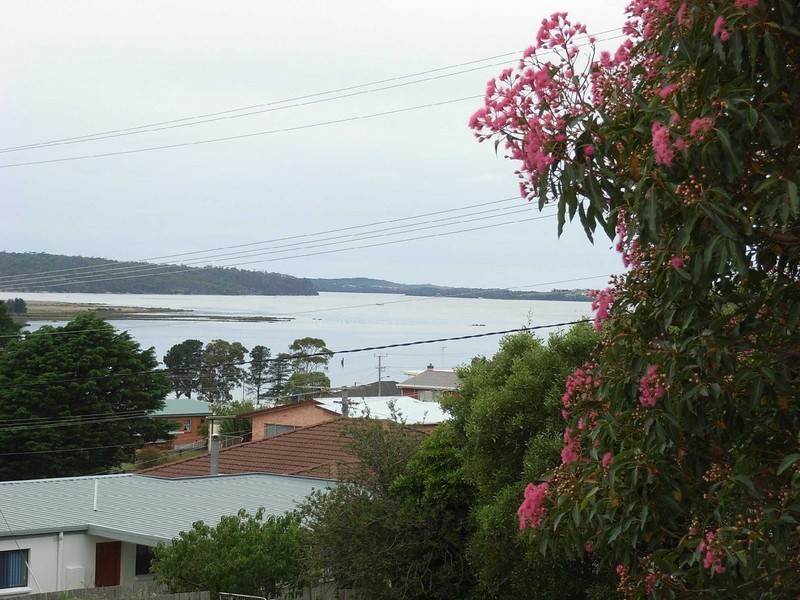 8 Cobrooga Drive, St Helens TAS 7216