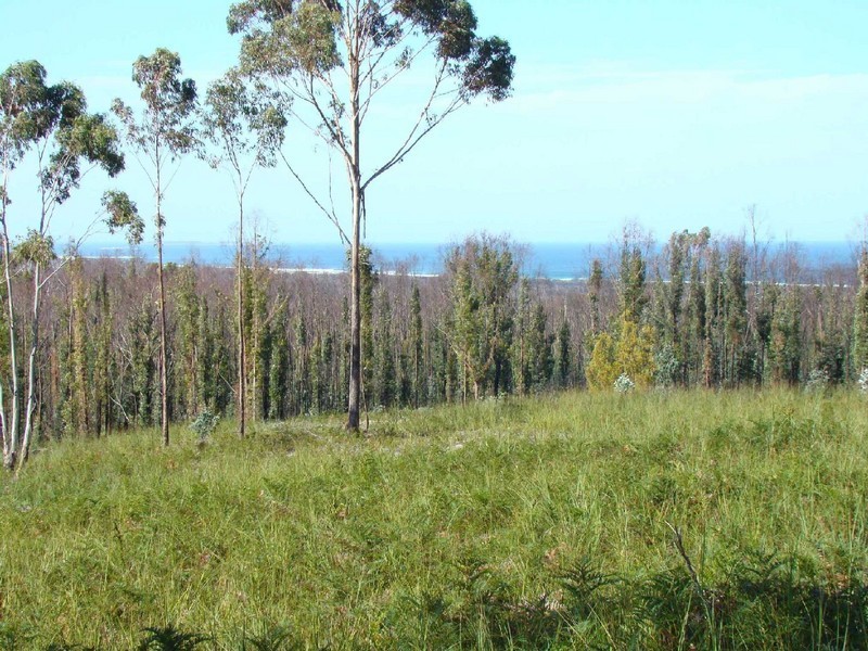 McManus Drive, Scamander TAS 7215