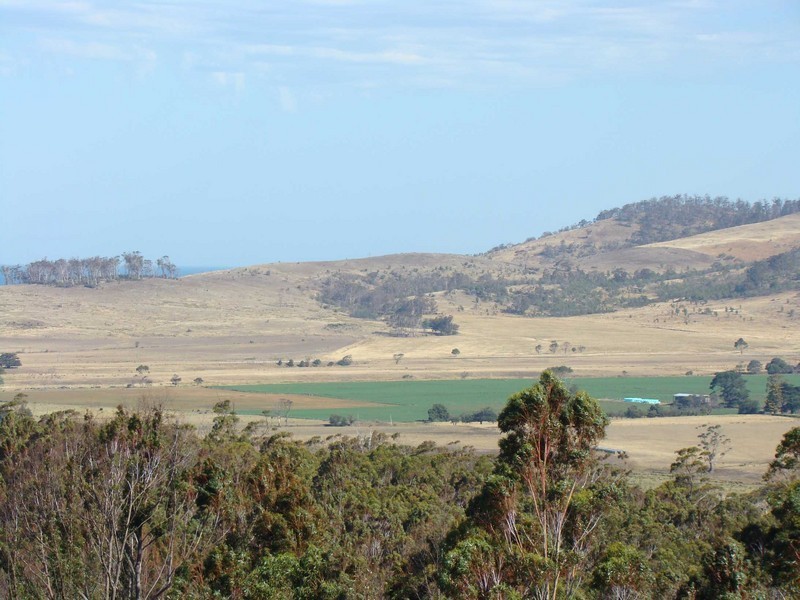 McManus Drive, Scamander TAS 7215