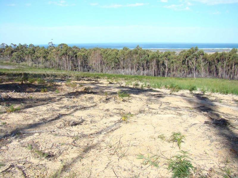 McManus Drive, Scamander TAS 7215