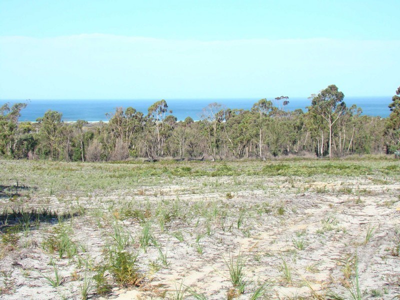 McManus Drive, Scamander TAS 7215