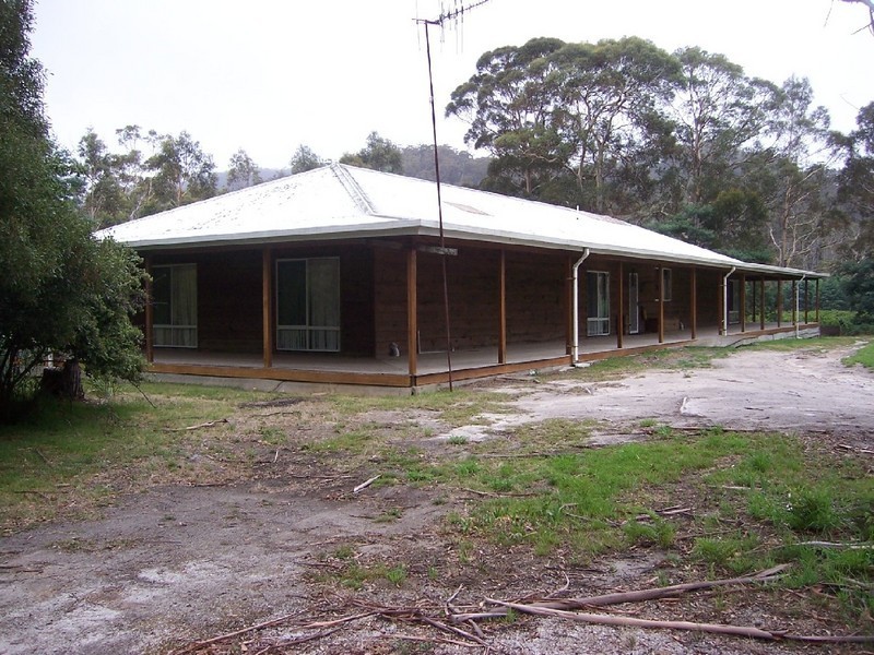558 Upper Scamander Road, Upper Scamander TAS 7215