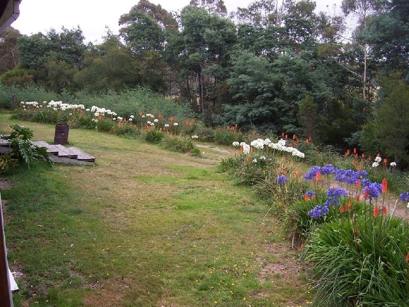 558 Upper Scamander Road, Upper Scamander TAS 7215