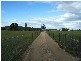 25480 Tasman Highway, St Helens TAS 7216