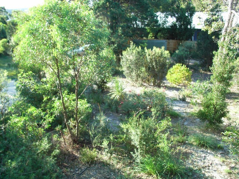 225-227 St Helens Point Road, Stieglitz TAS 7216