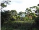 Lot 4, 38 Coffey Court, Binalong Bay TAS 7216