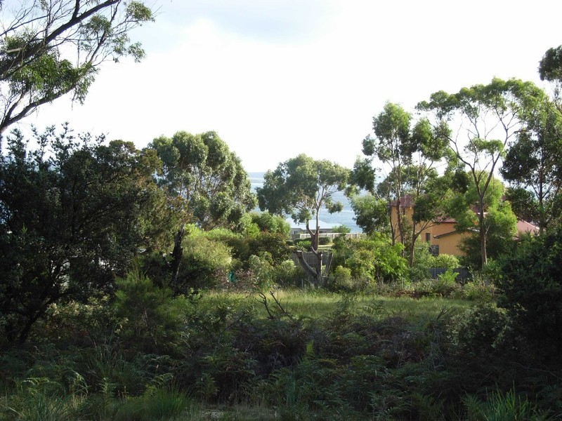 Lot 4, 38 Coffey Court, Binalong Bay TAS 7216