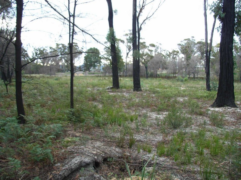 Lot 2 Riverview Road, Scamander TAS 7215