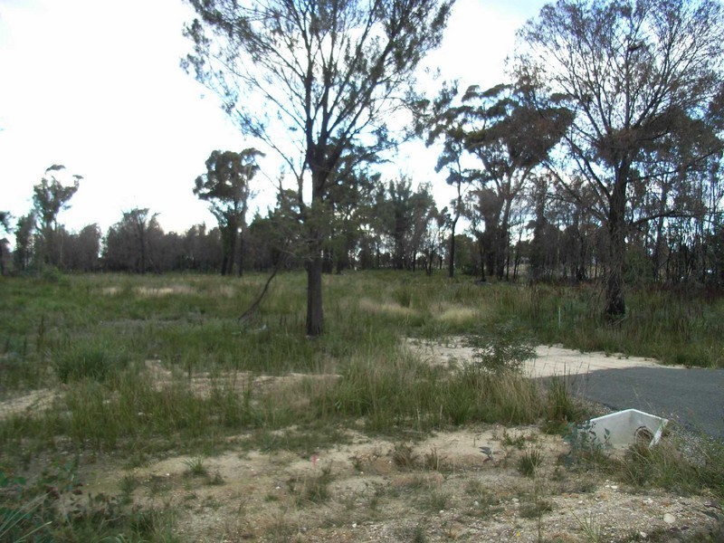 Lot 2 Riverview Road, Scamander TAS 7215