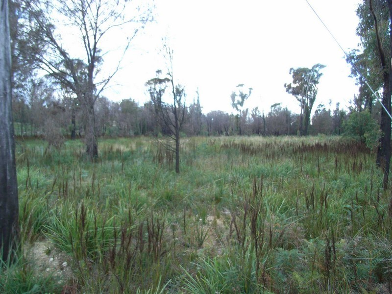 Lot 2 Riverview Road, Scamander TAS 7215