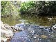 Lot 1 Upper Scamander Road, Scamander TAS 7215