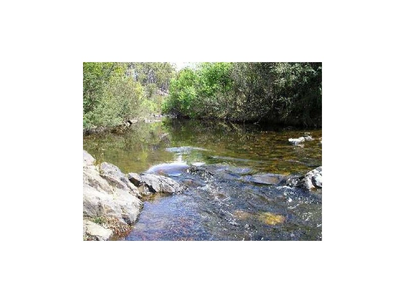 Lot 1 Upper Scamander Road, Scamander TAS 7215