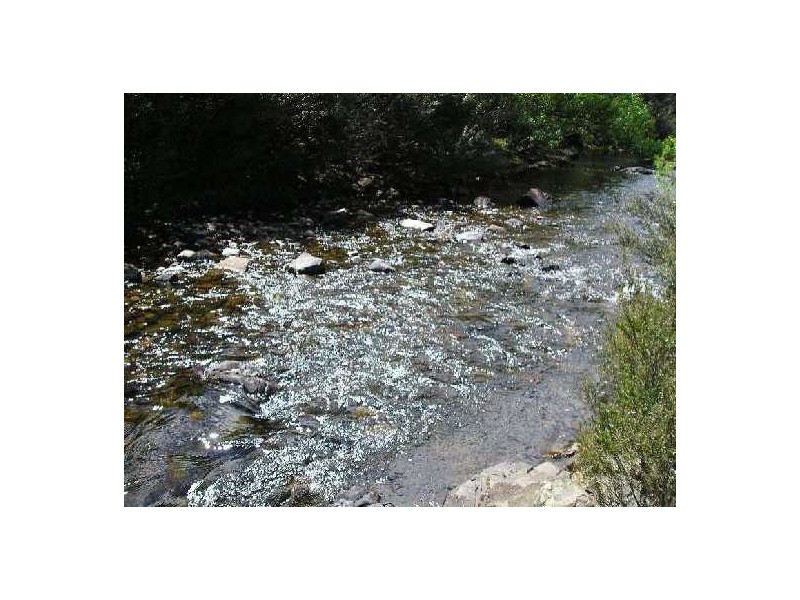 Lot 1 Upper Scamander Road, Scamander TAS 7215