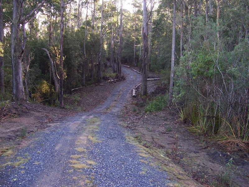 Lot 1 Germantown Road, St Marys TAS 7215