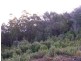 Lot 1 Germantown Road, St Marys TAS 7215