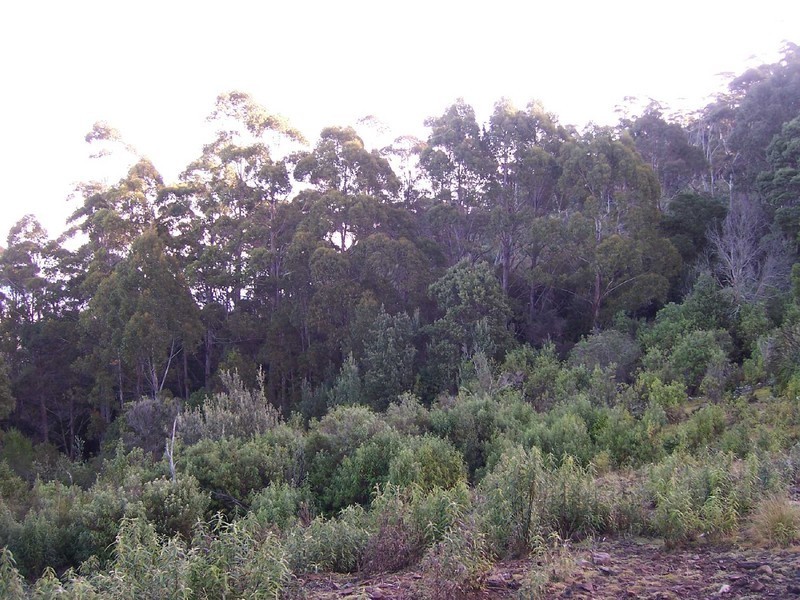 Lot 1 Germantown Road, St Marys TAS 7215