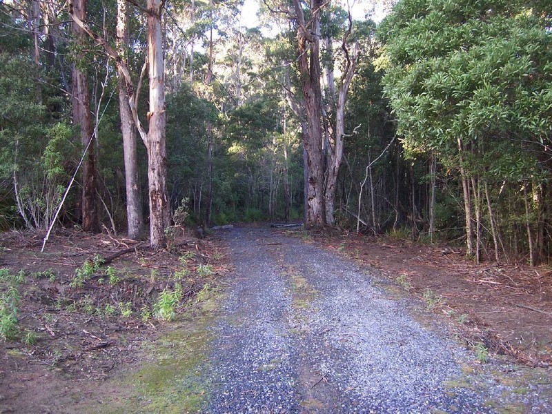 Lot 1 Germantown Road, St Marys TAS 7215
