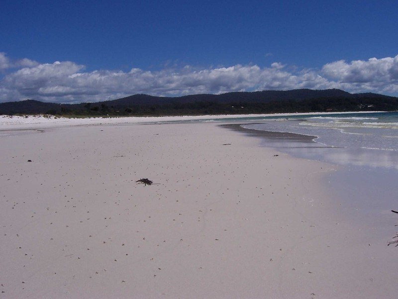 Wedge Court, Binalong Bay TAS 7216