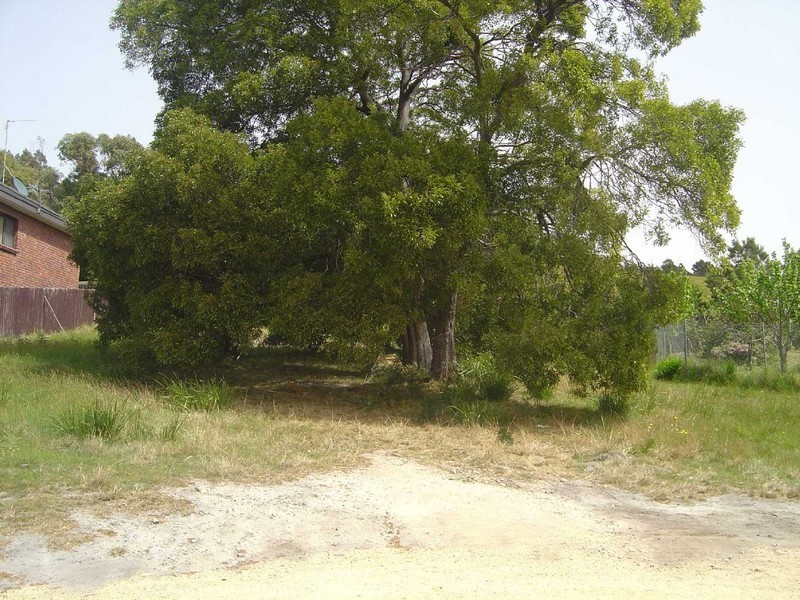 32 Halcyon Grove, St Helens TAS 7216