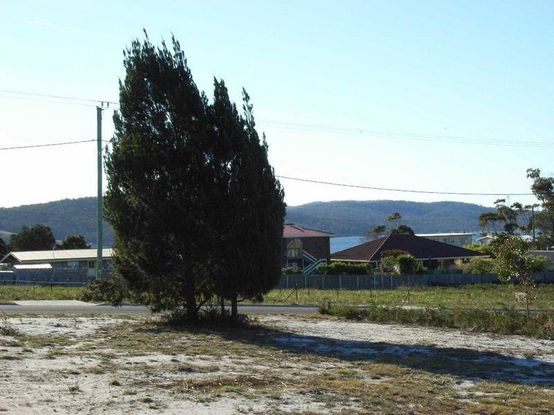 62 Parnella Drive, St Helens TAS 7216