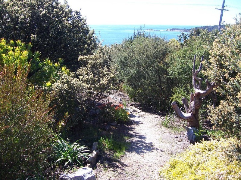 19 Treloggen Drive, Binalong Bay TAS 7216