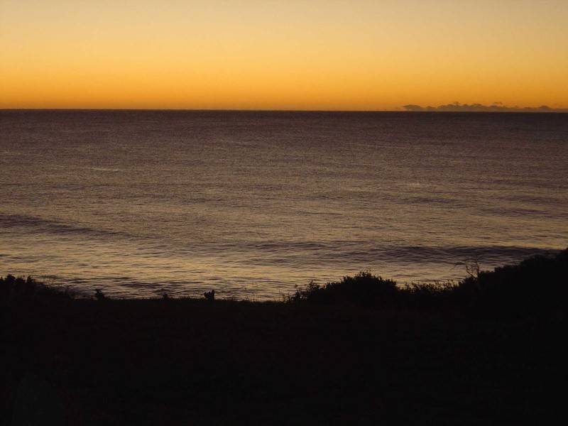 23A Morrison Street, Falmouth TAS 7215