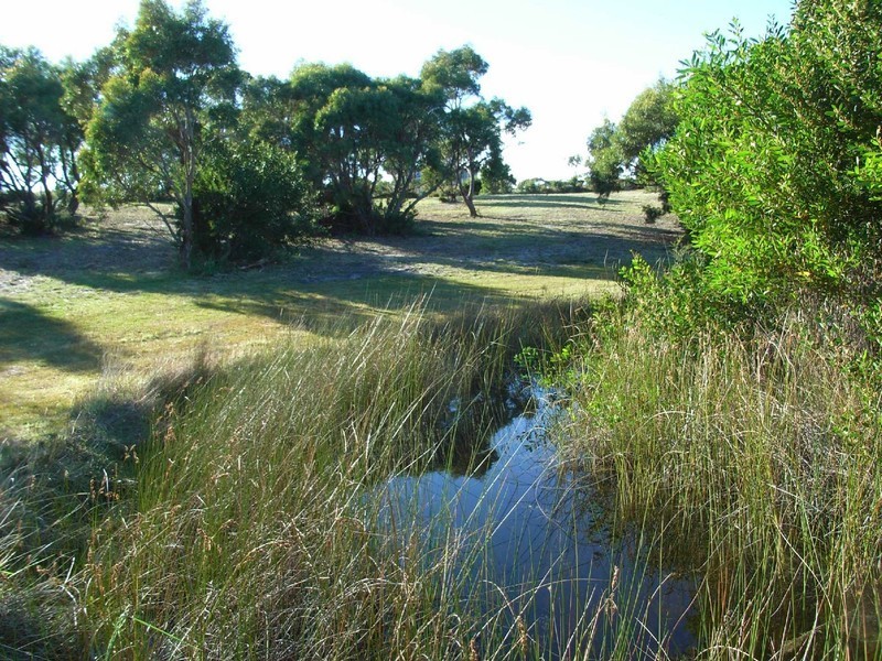 Lot 6 Fysh Court, Akaroa TAS 7216