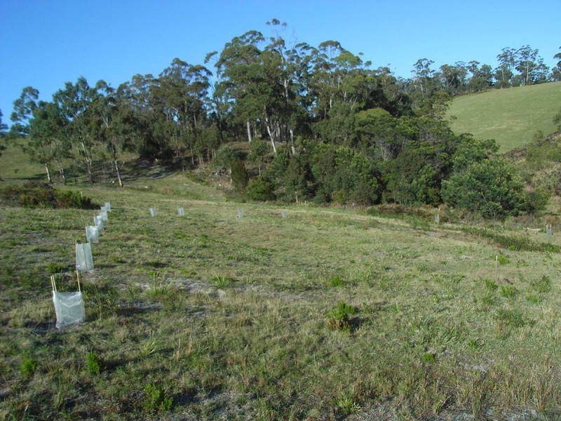 Lot 106 Susan Court, St Helens TAS 7216
