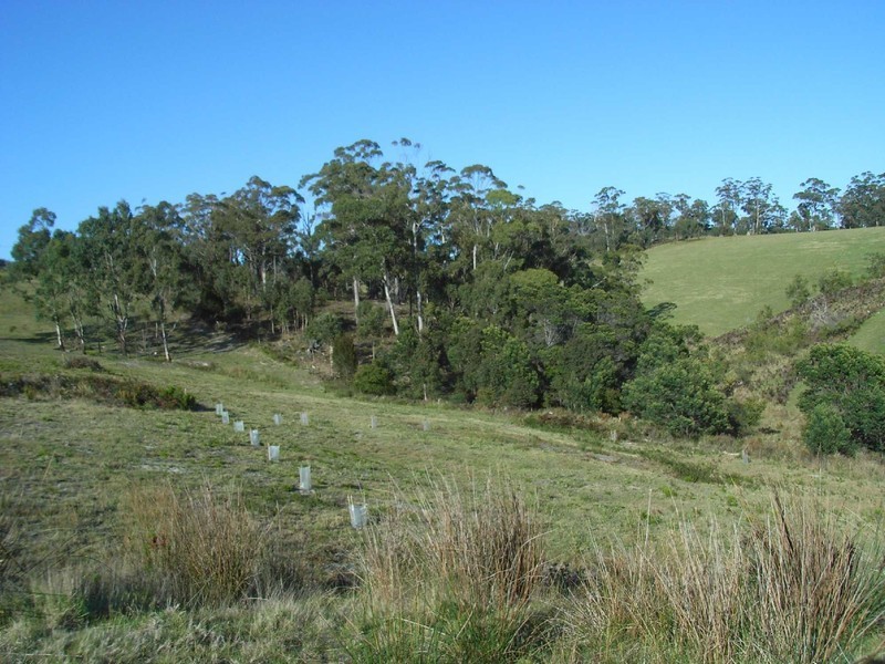 Lot 106 Susan Court, St Helens TAS 7216