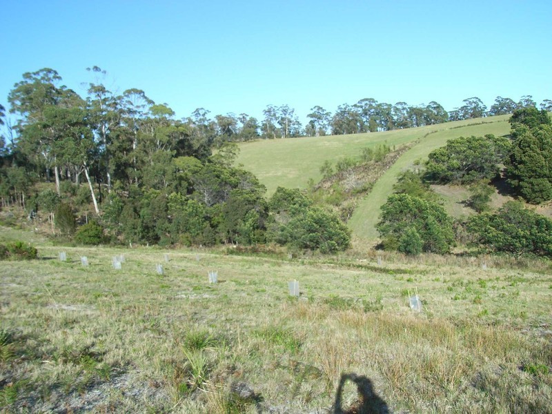 Lot 106 Susan Court, St Helens TAS 7216