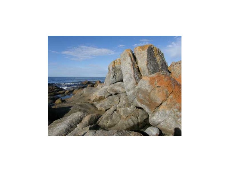21424 Tasman Highway, Chain Of Lagoons TAS 7215